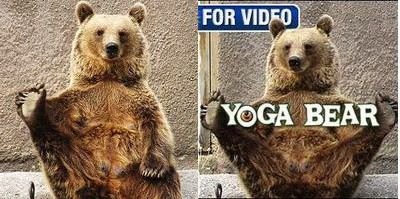 VIDEO Asta e ursul YOGA! Vezi cum isi face miscarea de dimineata! :))
