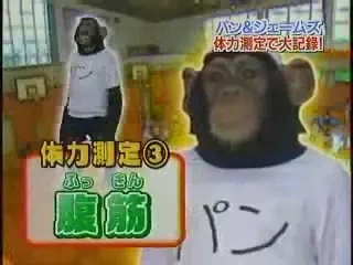 VIDEO / Dupa morsa, a aparut si maimuta care face abdomene! In echipa cu un caine!