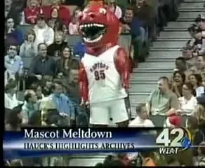 VIDEO: O mascota dilie a vrut sa coboare scarile pe role! Vezi ce a iesit :))