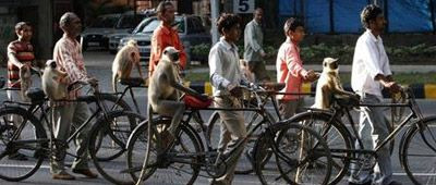 VIDEO INCREDIBIL: bodyguarzi MAIMUTE pentru sportivii de la Commonwealth Games din India!_5
