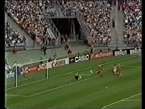 Vezi golul cu Tunisia