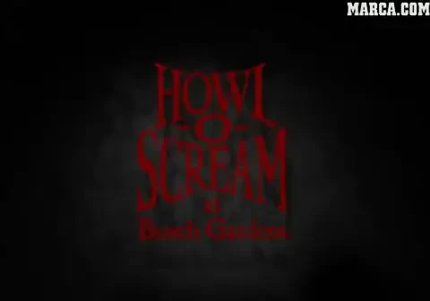 PANICA MAXIMA! Majoretele de la Tampa Bay, speriate cu o DRUJBA! :) VIDEO