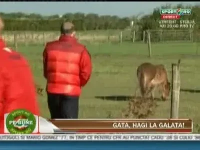 VIDEO! Stelistii s-au pregatit inainte de meciul cu Utrecht intr-o FERMA! Vezi ce au facut!