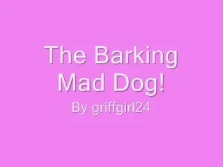 VIDEO: Cum sare un catel la cap? Vezi aici ce jonglerii face face un patruped cu&nbsp;balonul!