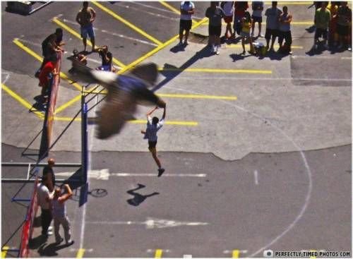 Cele mai tari 13 IMAGINI din sport! Care e cea mai tare?