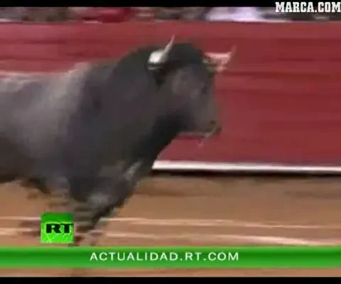 VIDEO / Un taur era sa provoace o tragedie in Mexic! A sarit in tribune peste spectatori: