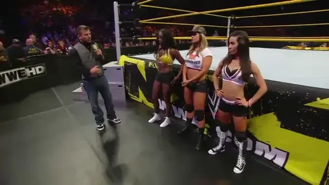 VIDEO: La un singur pas de a ajunge dive! Vezi care sunt finalistele si un meci de 5 stele