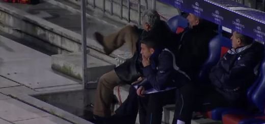 FOTO SCANDALOS! Traore, gesturi OBSCENE catre fanii lui CFR dupa ce a marcat cu AS Roma!_6