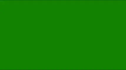 VIDEO: L-a umilit pe GRASAN! Vezi de ce nu e bine sa te bati pentru un cheesburger