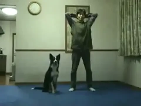 VIDEO: Stapanul sau cainele - Cine face mai bine genuflexiuni? :)