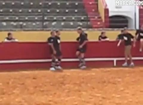 VIDEO INCREDIBIL! O echipa de rugby s-a luat la bataie cu un TAUR!