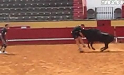VIDEO INCREDIBIL! O echipa de rugby s-a luat la bataie cu un TAUR!
