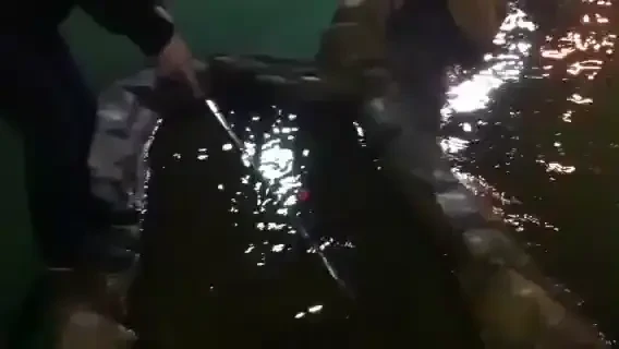 Nici Tiger Woods nu a reusit asa ceva! O lovitura care te lasa cu gura cascata!