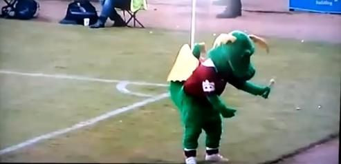 VIDEO Cea mai TUPEISTA mascota din Anglia! I-a dat cu mingea in cap arbitrului :))