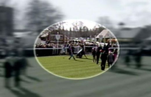 VIDEO / HORROR: doi cai au murit electrocutati in timpul unei curse: