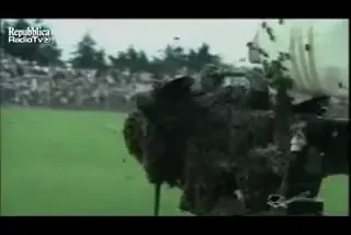 VIDEO INCREDIBIL! Albinele au intrerupt un meci de fotbal! Arbitrul a avut cel mai mult de suferit! Vezi cum au incercat sa-l salveze!