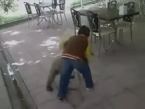 Puiul FANTASTIC! Vezi cum se lupta un pui de urs cu un copil ca doua centuri negre