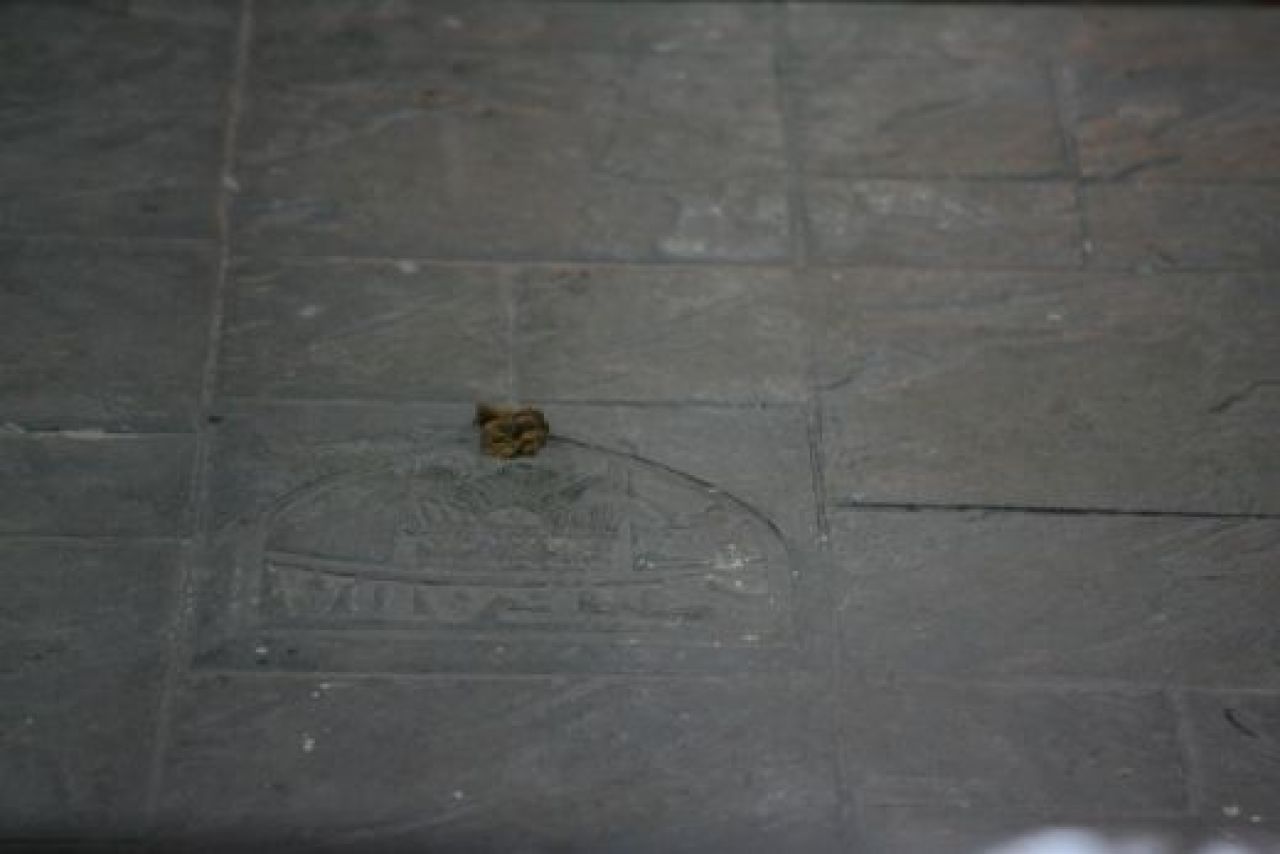 5000 de fani in Ghencea la primul meci al Stelei acasa in 2011! Vezi imaginea serii in Ghencea! :)_4