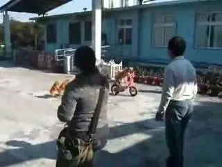 VIDEO DEMENTIAL! Cum se pregatesc CAINII pentru meciul cu Rapid :))