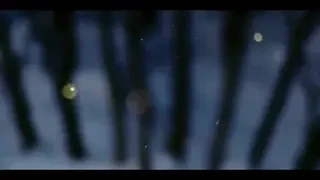 Forrest Gump chiar exista: a slabit 60 de kg in 3 ani! Fara sala, alergare sau dieta! Afla-i reteta: