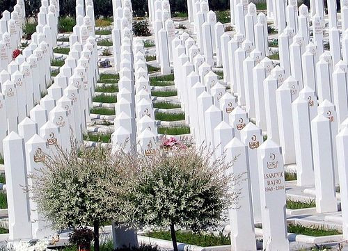 Imagini CUTREMURATOARE! Cele 20.000 de suflete din cimitirul din Sarajevo care ajuta Bosnia cu Romania