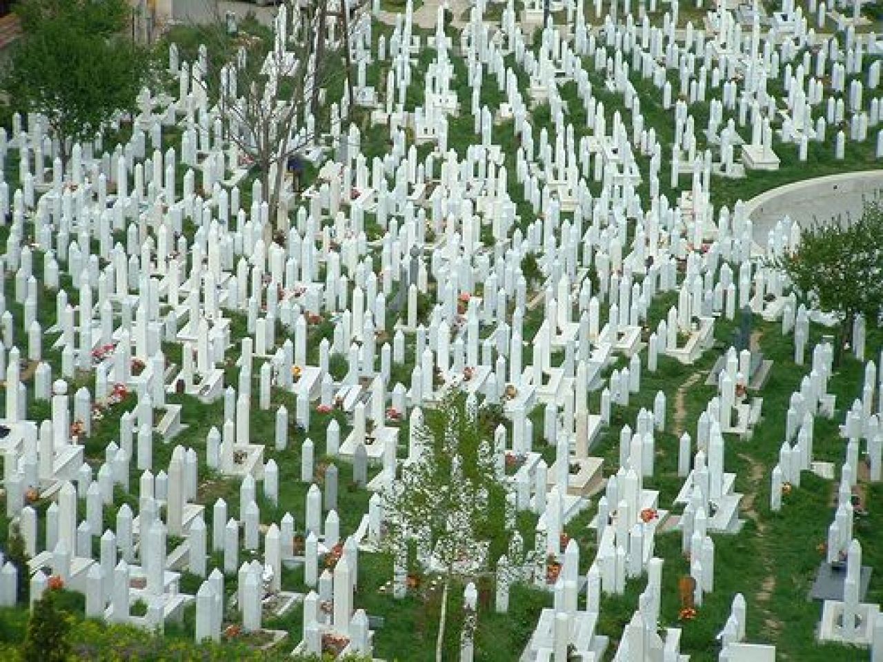 Imagini CUTREMURATOARE! Cele 20.000 de suflete din cimitirul din Sarajevo care ajuta Bosnia cu Romania_3