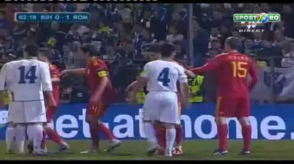 ibisevic