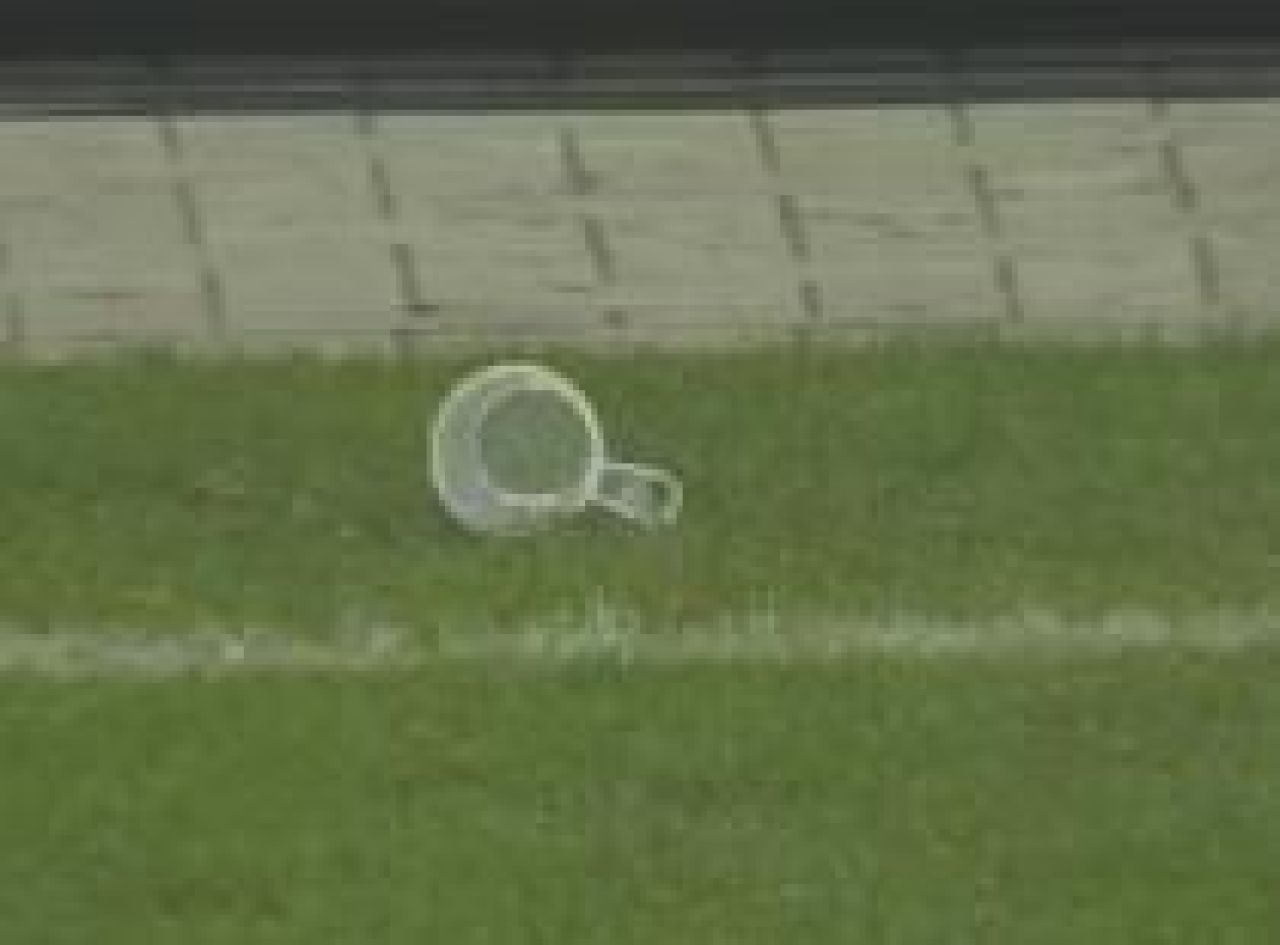 Fanii au incercat sa-si salveze echipa! Un nou caz 'bricheta' loveste in Germania: arbitrul a intrerupt meciul in minutul 89!_1