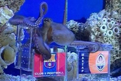 VIDEO Caracatita Paul s-a reincarnat! A prezis DEZASTRUL pentru Lucescu la Barcelona: