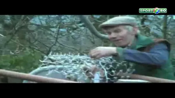 Cea mai tare coregrafie cu oi! DEMENTIAL: Au jucat tenis si au pictat-o pe Mona Lisa!