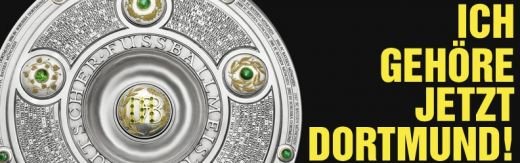 NEBUNIE in Germania! Dortmund a luat TITLUL dupa 9 ani in fata a 80.000 de fani! Vezi imagini de la sarbatoare_3