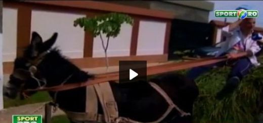 Moldova se imbraca de sarbatoare! Satenii sunt gata sa renunte la animale pentru titlu! Iancu va fi premiat cu un magar :)