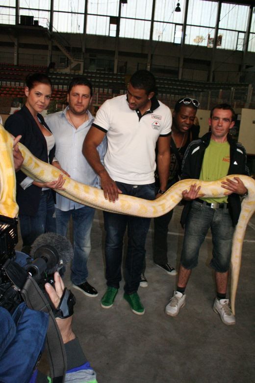 Pericol maxim! Serpi la Gala Local Kombat 'Lupta Capitala' de sambata!_2