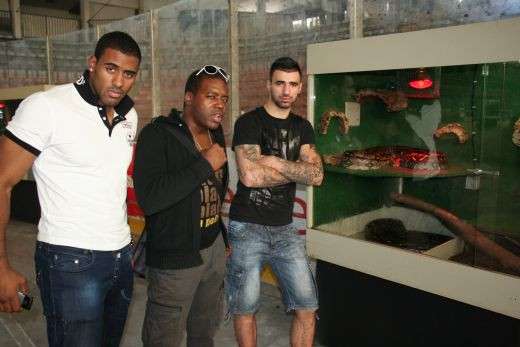 Pericol maxim! Serpi la Gala Local Kombat 'Lupta Capitala' de sambata!_4