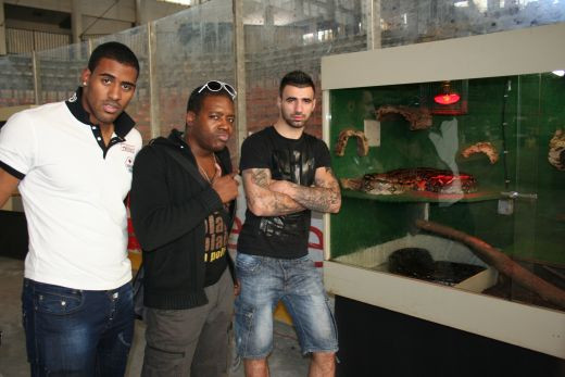 Pericol maxim! Serpi la Gala Local Kombat 'Lupta Capitala' de sambata!_5