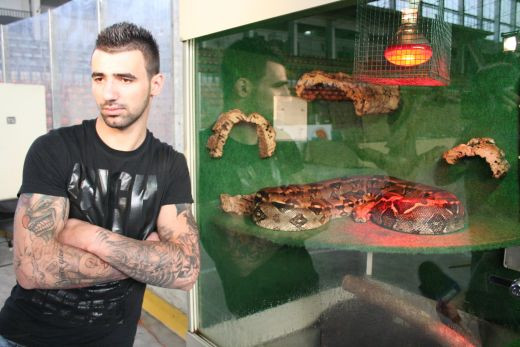 Pericol maxim! Serpi la Gala Local Kombat 'Lupta Capitala' de sambata!_6