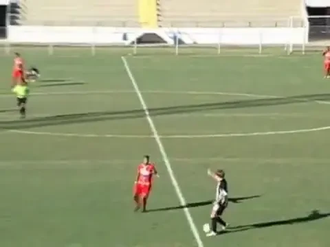 Un roi de albine au facut intrerupt un meci de fotbal: arbitrul isi numara intepaturile si a uitat sa fluiere! VIDEO: