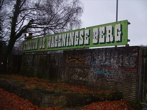 IMAGINILE care ii vor traumatiza pe stelisti! Ghencea poate ajunge o RUINA TOTALA! FOTO_4