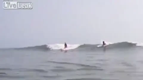 Asa ceva nu vezi in fiecare zi! Cum arata cea mai norocoasa zi din viata unui surfer: