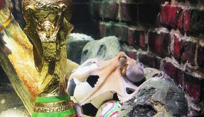 Liga I EXPLODEAZA! Banii nu se dadeau in mana! Mita consta in vile de lux! Cum arata CARACATITA din fotbalul romanesc: