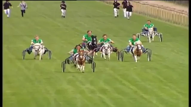 Echipa fantastica din Germania! Lupta pe viata si pe moarte intr-o CURSA DE PONEI!