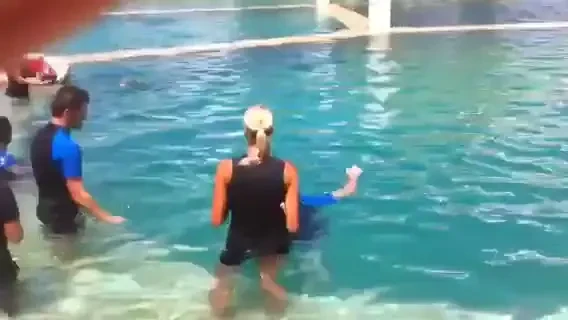 Barcelona la delfinariu