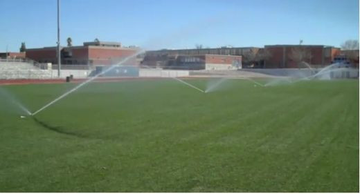 Americanii ne invata cum trebuie facut un gazon care sa reziste: in 3 zile e gata! VIDEO INCREDIBIL