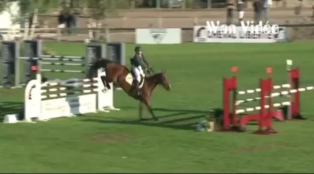Reactia socanta a calului dupa ce si-a pierdut jocheul: WAAW!