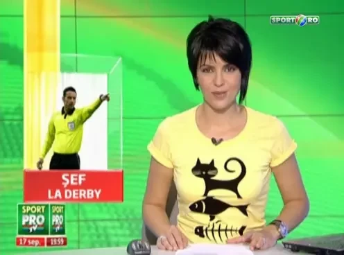 Centralul despre care Borcea a spus ca ii plateste ratele la banca a fost delegat la Dinamo - Rapid!