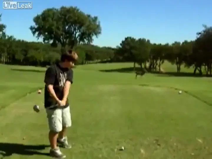 Senzational! Un jucator de golf a trimis mingea in capul unui cerb :)