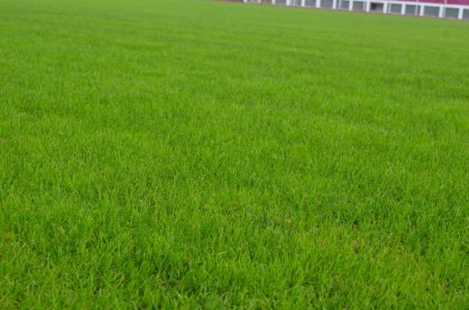 Rapid a facut cel mai tare transfer! Lucescu a mutat echipa pe Highbury si pregateste imnul de Liga! Rapid e ACASA intr-un singur loc: