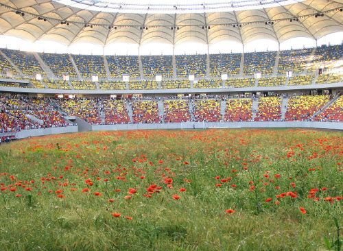 FOTO INCREDIBIL: Mine antitanc, gasite sub gazonul de pe National Arena :)_2