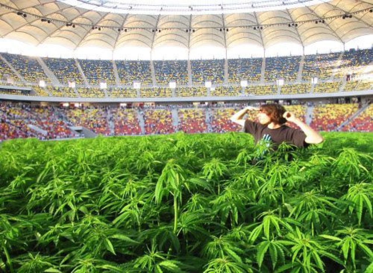 FOTO INCREDIBIL: Mine antitanc, gasite sub gazonul de pe National Arena :)_5