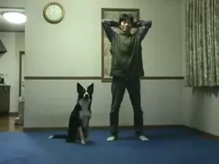 CLIPUL ZILEI / Cel mai sportiv catel: stapanul l-a invatat sa faca genuflexiuni!